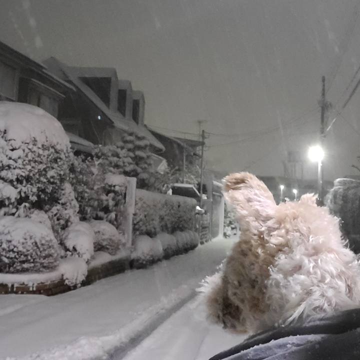 1f64e542 98ef 4574 a4e1 38e398ad1a0f 1674561802991