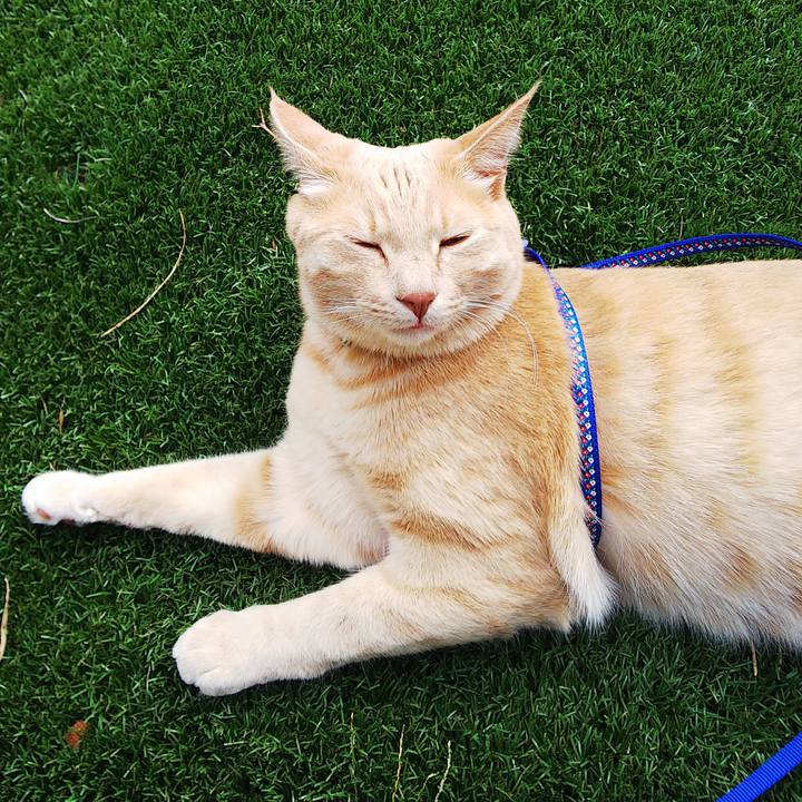 1f652e2e ea93 466b 8a82 8c280cd5066d 1601168855662