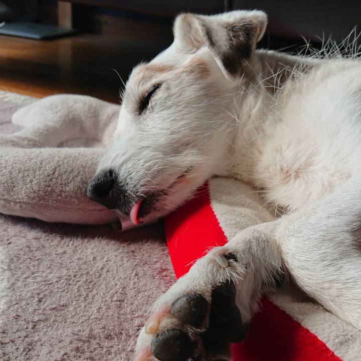 1f653368 1877 4a17 b483 06a963847e9a 1607650317517