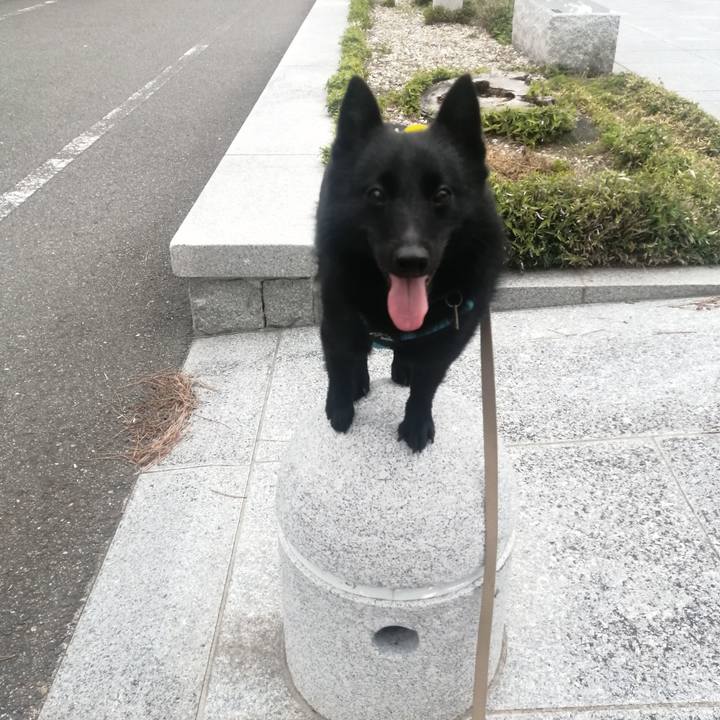 1f653a0a 2d13 4c1f a01b 0dccd6c8a04a 1657488456818