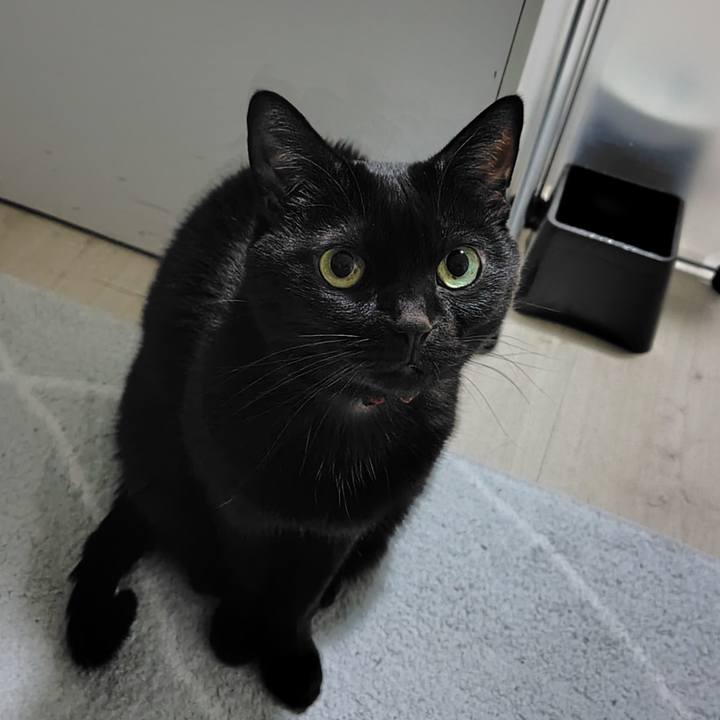 1f6571c1 284b 4890 b659 c11f35cb0d8d 1767528277875