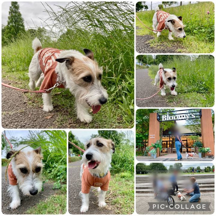 1f657c38 f1d3 405a 84fd 7c7579d0439e 1654426753538