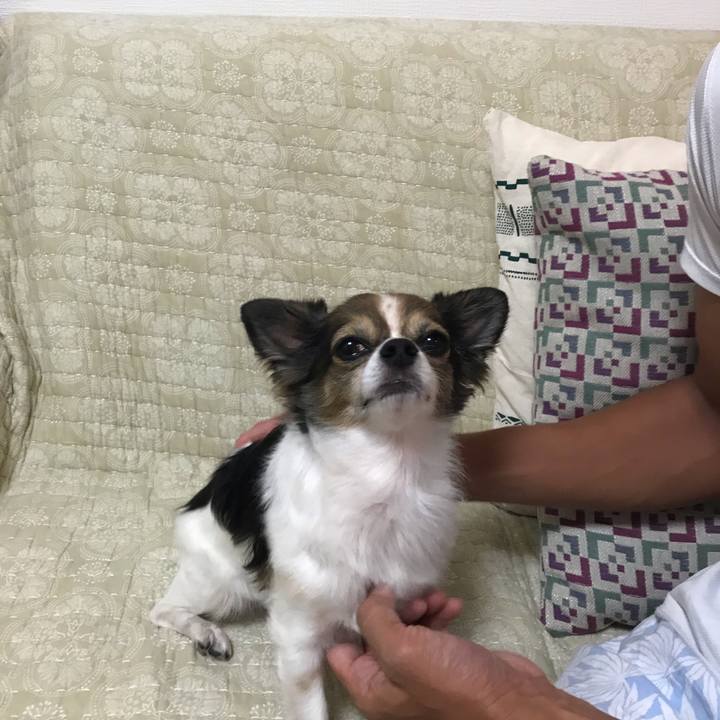 1f65a81a 6d6e 4890 8f04 64e6d81cfa9c 1538566760931