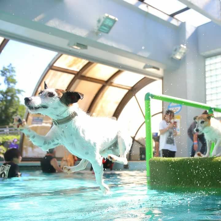 1f65b9ff 4bae 4793 ad07 b7f01a9b0d2d 1537359931084