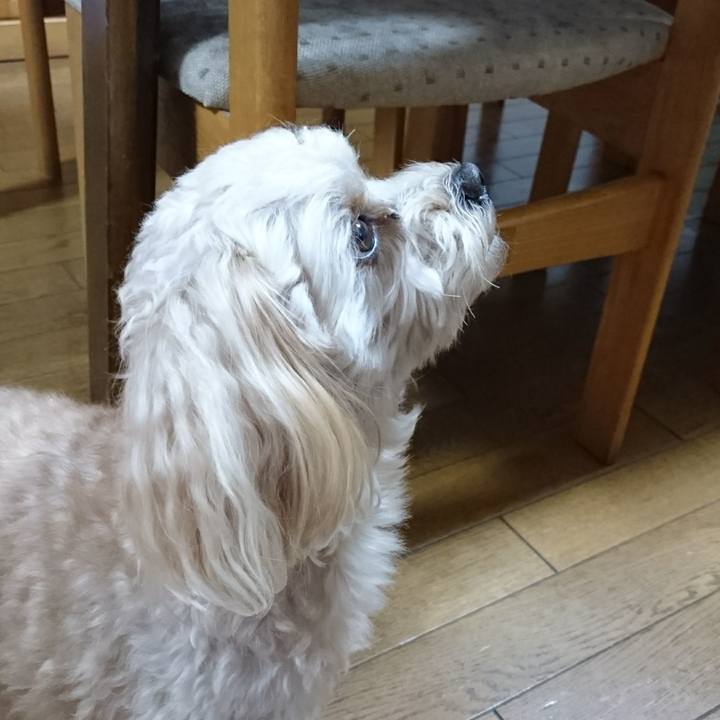 1f65fb1e 042e 4fe1 a7ba 45f7b8a6277a 1512562725448