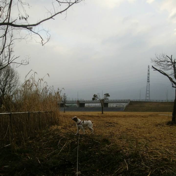 1f662dfd 7725 4fea 991b 12084f978434 1549254018108