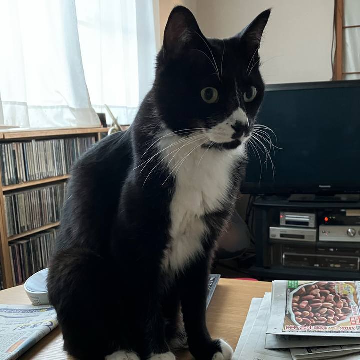 1f663e88 de0c 4732 96c4 b9cf5e985f74 1693650261871