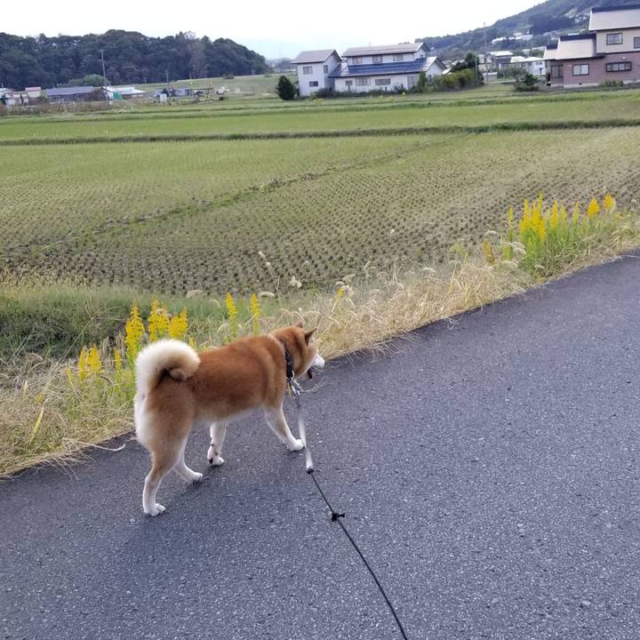 1f665210 203c 44e6 8416 abed103e3638 1634889084115