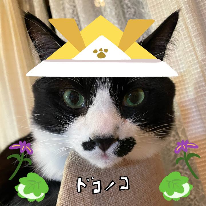 1f6668fa 6e7a 4413 8008 108385c5819e 1715045974103