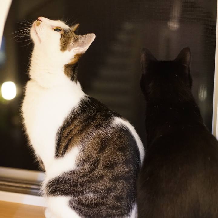 1f66734e a225 4cbf a72e 5d8051a07dd3 1527809744972