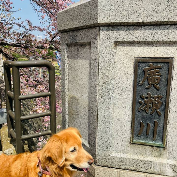 1f668880 813a 470f 9c1a 1052249223be 1745042902093