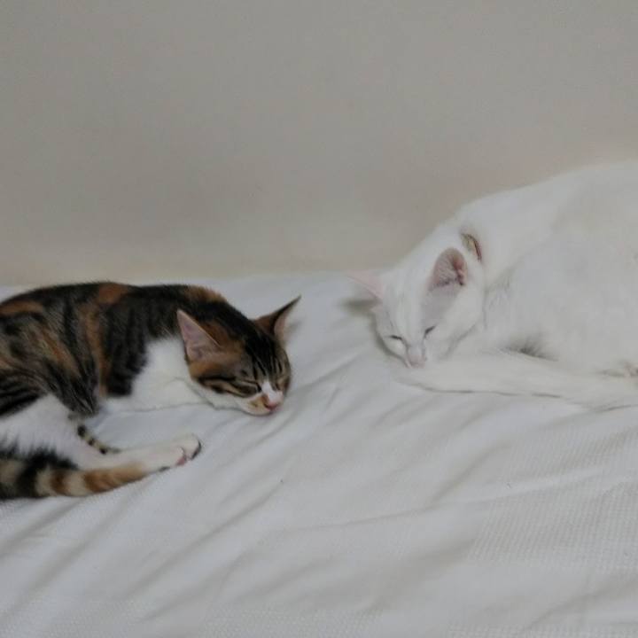 1f66b697 9f5d 444e b7f9 2610ad33fa4a 1630707231723