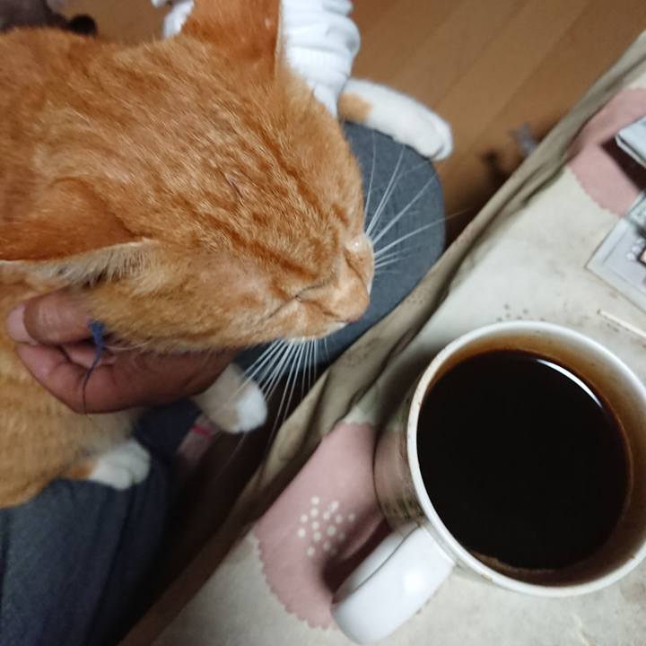 1f66f3ec a635 44e1 80a5 70af2dc920c9 1600114231989