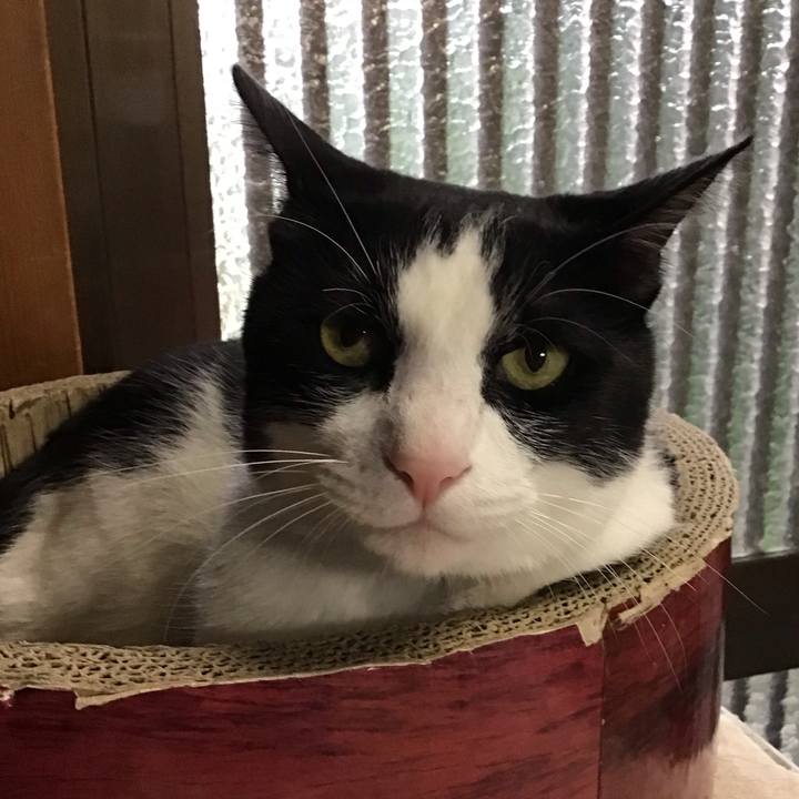 1f66f641 8ce7 4300 965a fd72963bd8a4 1748423933681