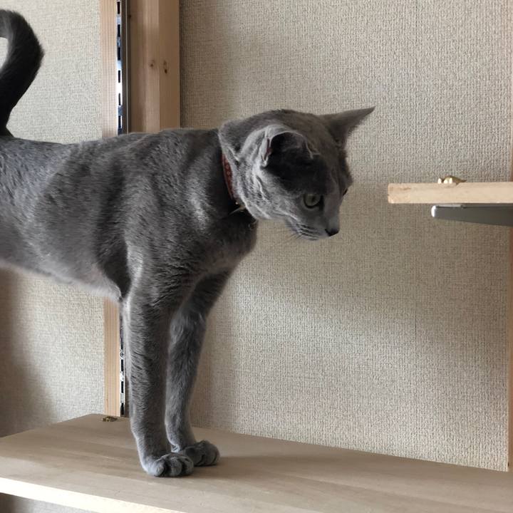 1f66f9da 991e 4492 bdc1 65457b9d74a4 1550394212087