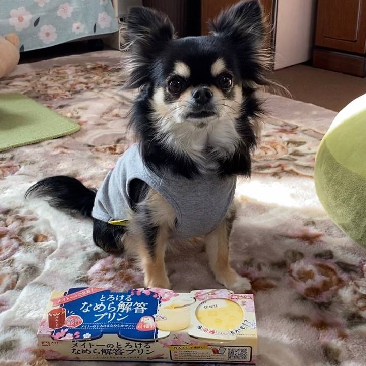 1f671507 be6a 45af 9108 f26a69195111 1610585596138