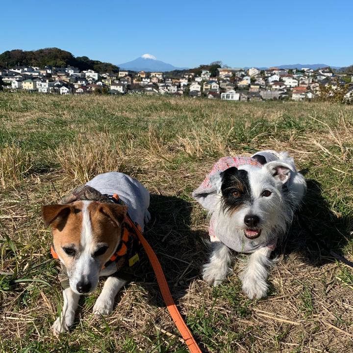 1f6753b0 98e4 469b b91e 5010e1ed244e 1638061631901