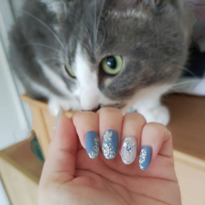 1f677869 ce5a 42db a9f7 82e70b0ae670 1724796446643