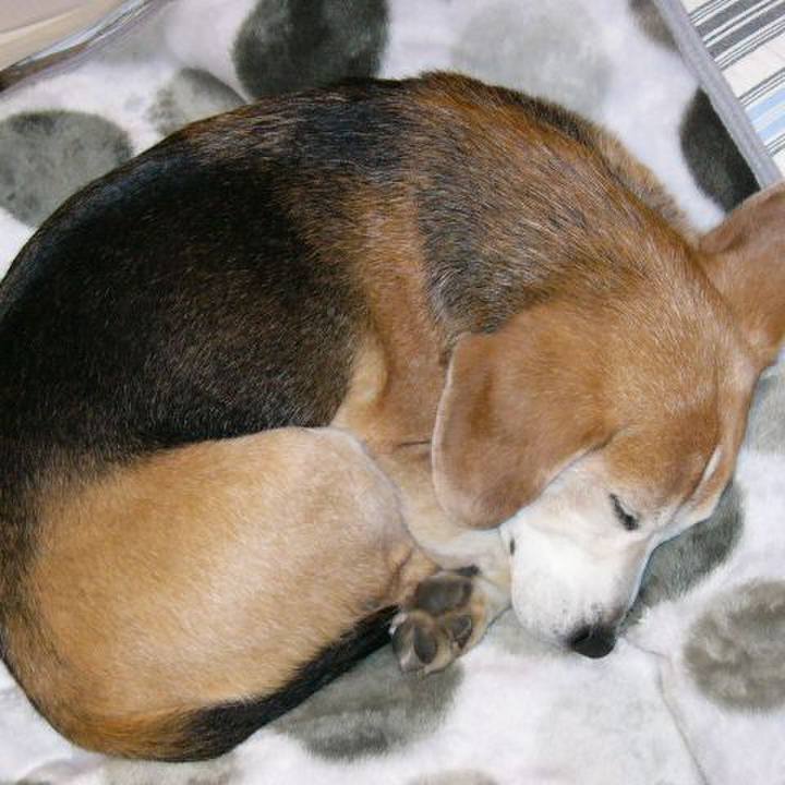 1f67a7db da38 4912 a0fa 0f823b695f81 1644801578630