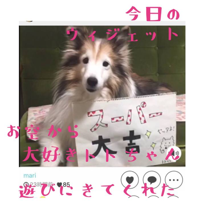 1f67d596 469d 4d26 a0e2 28bb404bb20c 1678843969363