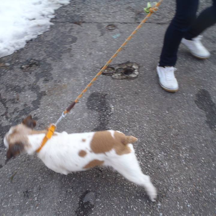 1f6856a6 16c5 4e4a baa7 d75d5253ae4e 1523902274840