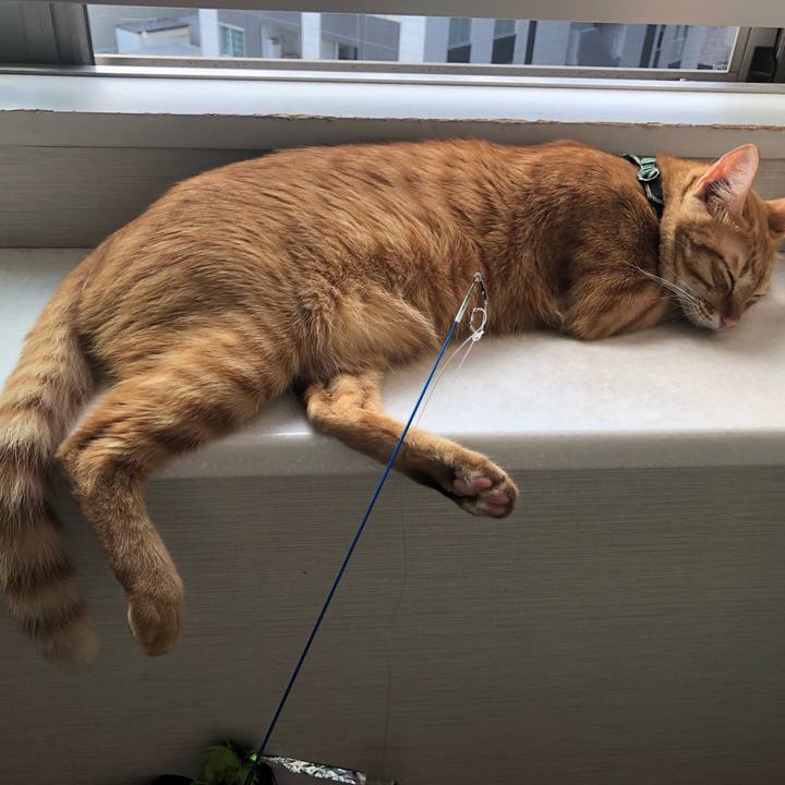 1f687062 4312 45fd 8381 533f0f03b552 1632355111174