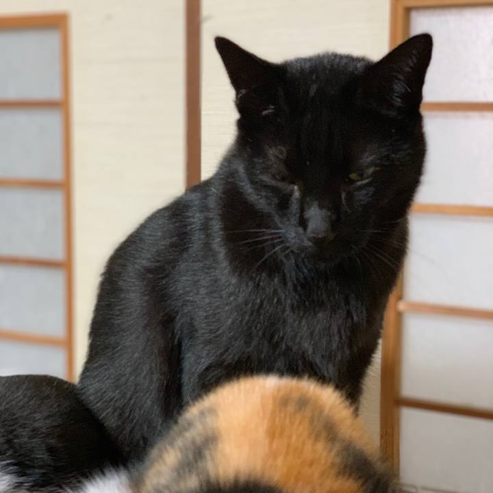 1f687a20 d298 4921 a99a 408b3f249b9a 1541120158005