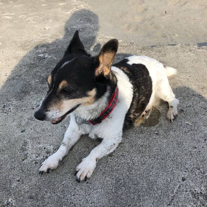 1f687e02 b07b 4baa 9d57 d932996f5b37 1567809428831