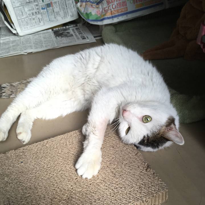 1f68a8bb 18a6 491e 9fe1 c577318ea399 1516942956001