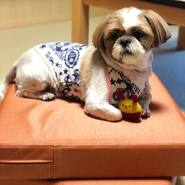 1f68cf83 cc23 4b79 a6ff 3a3d620ae083 1526030872072