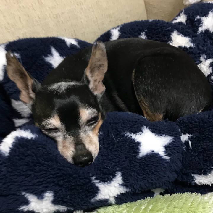 1f68d7a7 8f88 47ac bc7b 265a76c92dd5 1545438925468