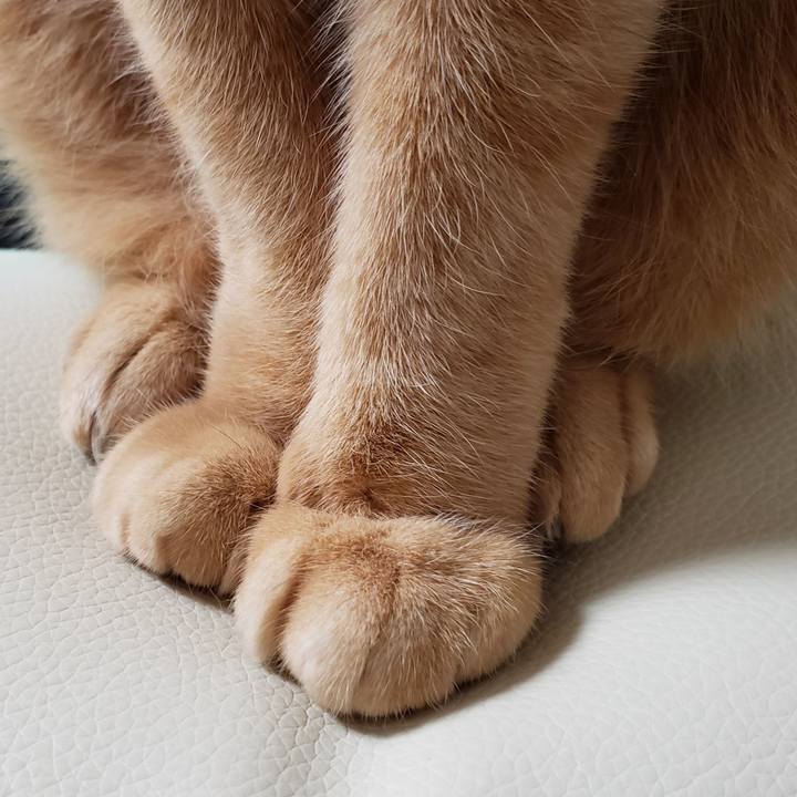 1f68e651 b686 4a98 9cae ef0a0ec7deb6 1717724475258