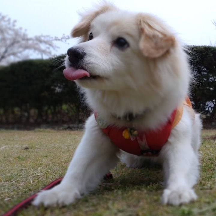 1f68f363 237c 4b8e 8f29 4a6cdff3c316 1649216065556