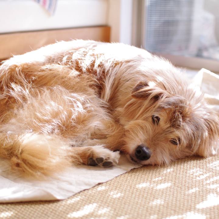 1f68f4fa 20df 4cc5 af41 2f2d1bdd5e4b 1576803230449