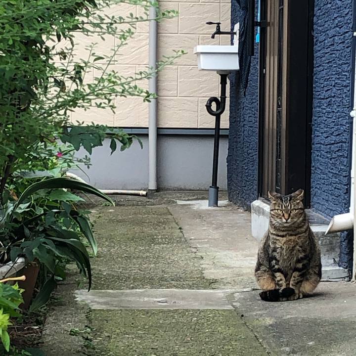 1f694540 d720 4c6e 9718 d9deb8d9cac4 1542054435905