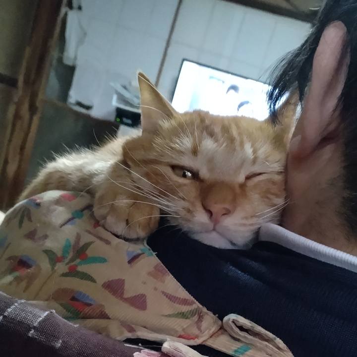 1f694a04 e5e0 4f37 8b0e dd99b00792ec 1668319759975