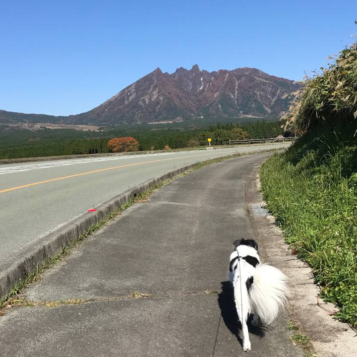 1f694a6e e6cb 4348 a24c e90ea634329c 1509972643739