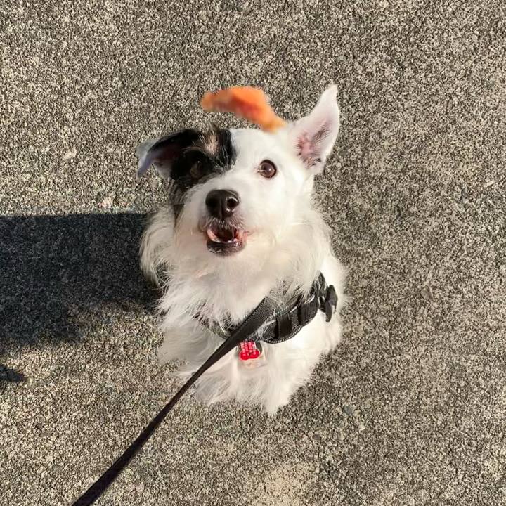 1f695778 65c5 4b15 b967 0cccca70a5b3 1700091428603