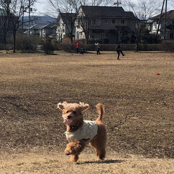 1f6957d3 897f 4a1f 86f3 2ea329044dd2 1583029377195