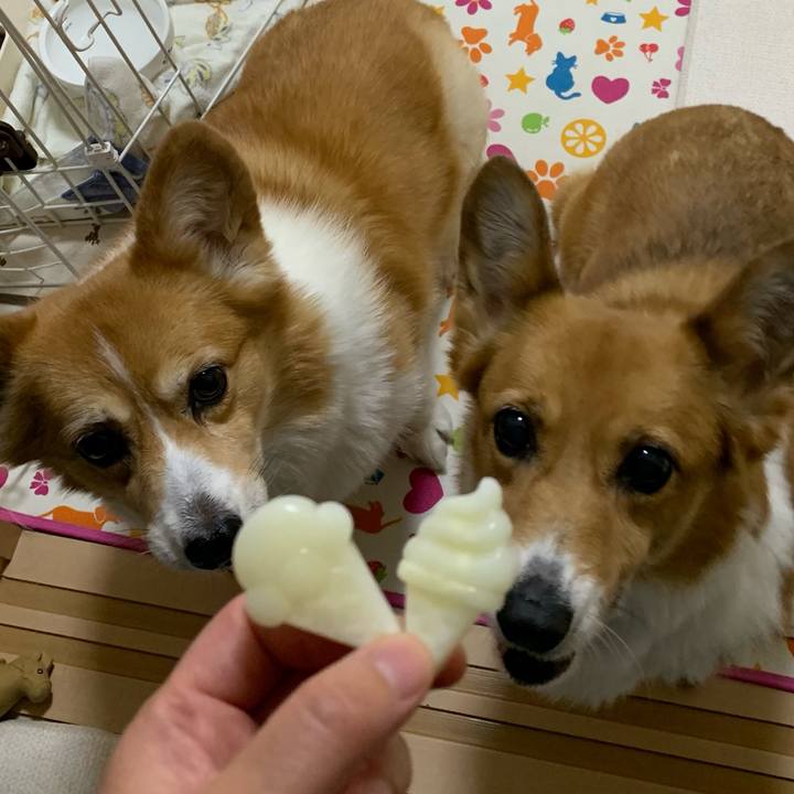 1f698d59 aec1 4377 b44b 039e114c0c19 1692346307872