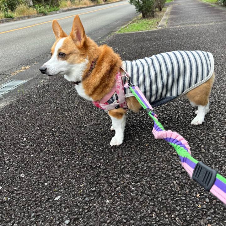 1f6994f6 ef35 43ee 88a8 2ef16cb2841d 1762313306046