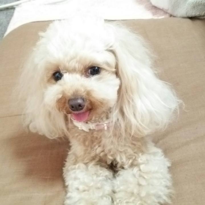 1f699a2c 8ceb 4303 bae5 6a09b0093012 1524297254124