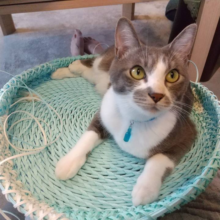 1f69a619 020b 4cb9 9057 2ad2fcb721a2 1620545007572