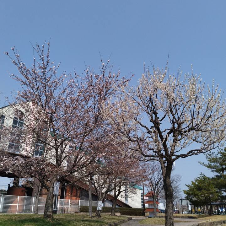 1f69caf4 c56e 416e 910e a3caf4b04d01 1744882362783