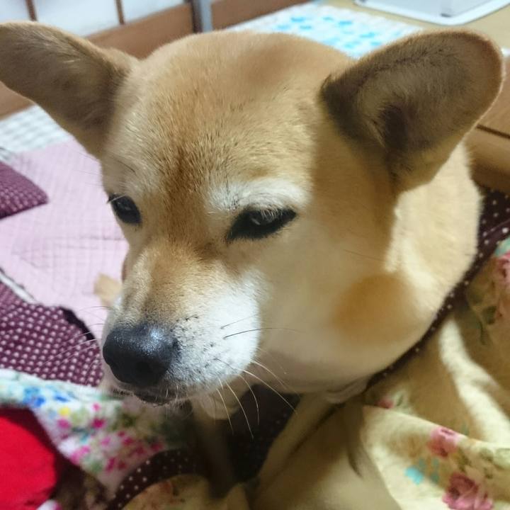 1f69cf55 7a22 450b b396 0d80220dbe6f 1519224082760