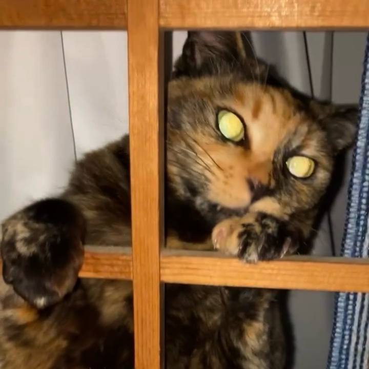 1f69d56c 7647 4aab af81 bb887cc2af30 1739908644345