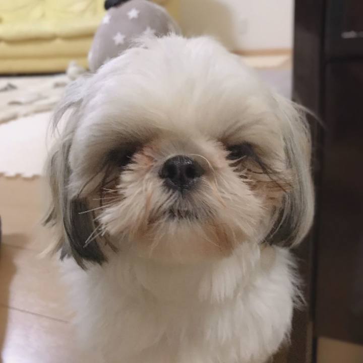 1f6a0868 59c0 4e3a a084 d36133af8fd7 1563420801966