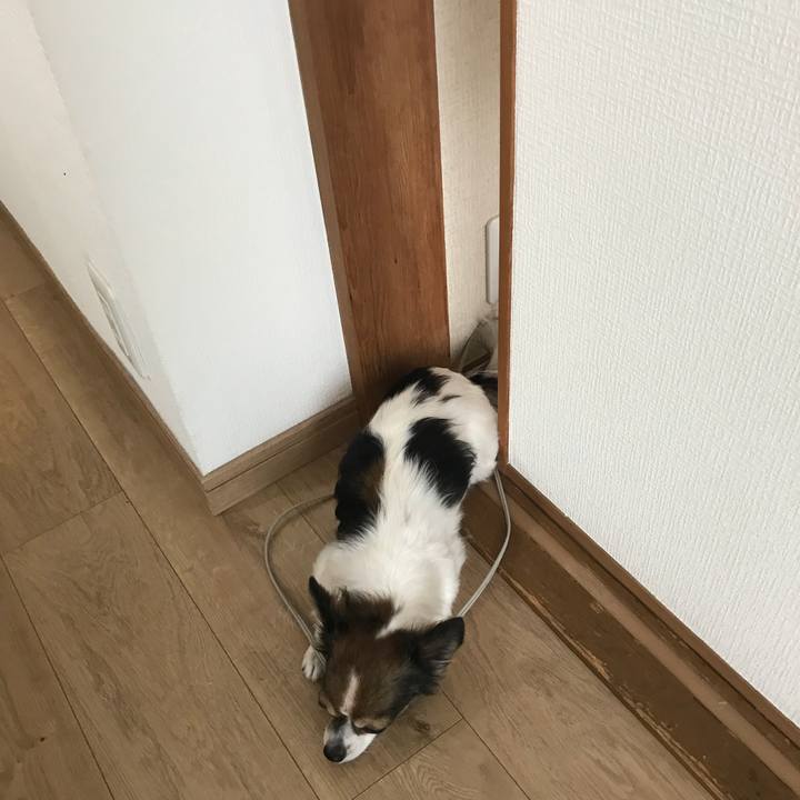 1f6a15b2 c3ea 4290 83d2 f3a0619184d7 1537665340617