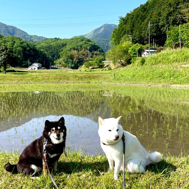 1f6a1b3a f927 4d77 ae05 00995097b8f1 1683763667721