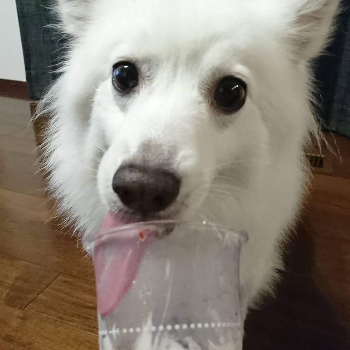 1f6a25b7 081a 4d0f bf69 8c782425fd00 1562077286235